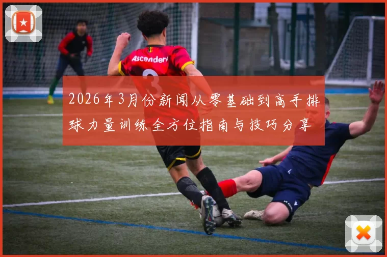 2026年3月份新闻从零基础到高手排球力量训练全方位指南与技巧分享