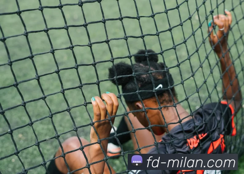 米兰官网发展历程